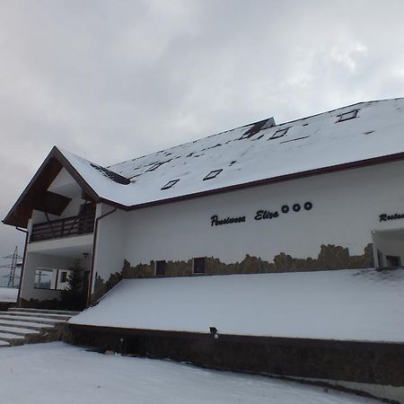 Pensiunea Eliza Podu Cosnii Exterior foto