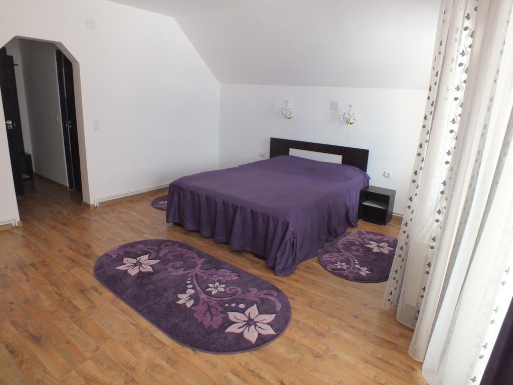 Pensiunea Eliza Podu Cosnii Quarto foto